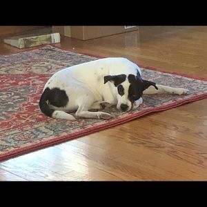 Meet your Posher, Jacob